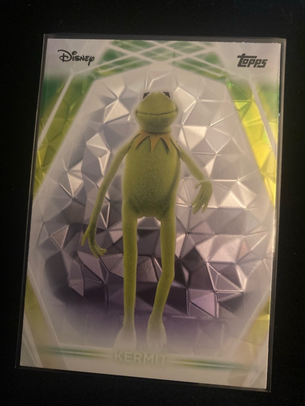Kermit Reptile Pet Decor Card - Green